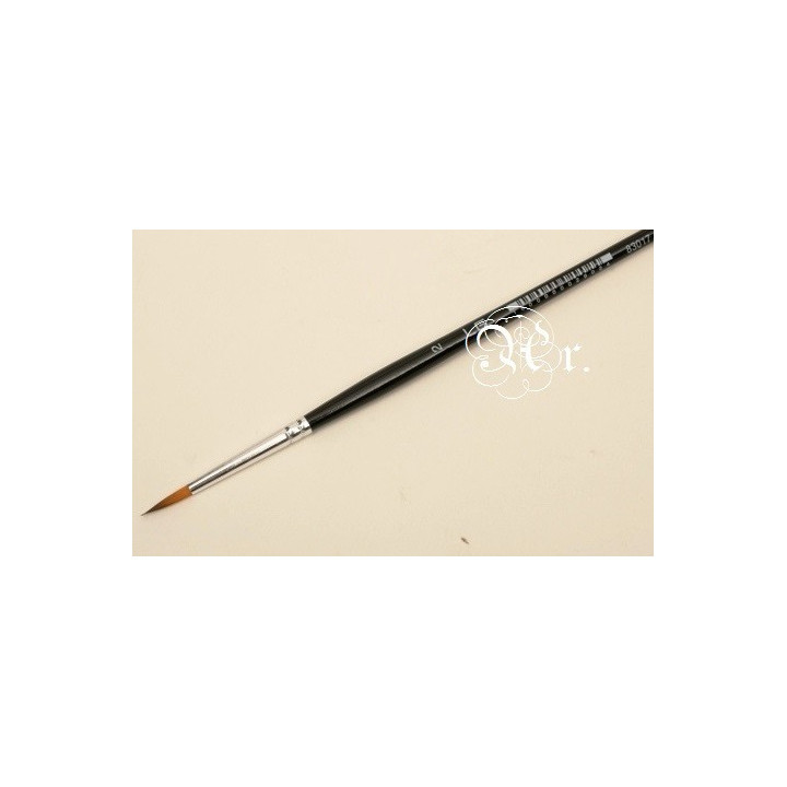 copy of 